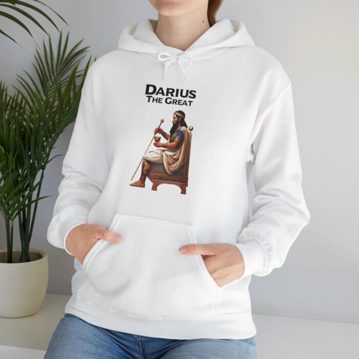 Vintage Hoodie, Persian Empire Hoodie, Darius The Great Hoodie, Persian King Graphic Hoodie, Heritage Clothing, Pullover Hoodie Gift For Dad